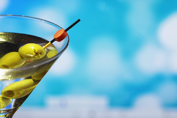 Travel concept. Tourist accessories gather in flight. Alcohol, camera, map and items.