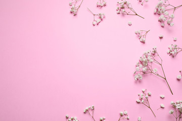 Beautiful floral composition with gypsophila on pink background, flat lay. Space for text