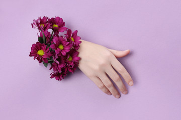 Beauty Hand with flowers in a hole in a purple paper background. Nature hand Cosmetics, natural flower extract, moisturizing and softening the skin