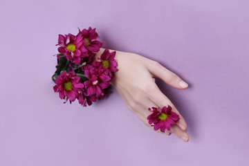 Beauty Hand with flowers in a hole in a purple paper background. Nature hand Cosmetics, natural flower extract, moisturizing and softening the skin