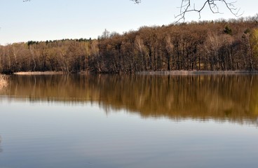 Mühlteich Schmannewitz
