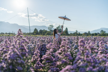 Woman in white dress with white umbrella posing in purple margaret flower field.