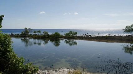 Small water inlet from seawater with the trees reflected in the water.