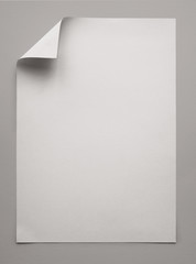 Vertical Empty White Paper with Folded Corner Isolated on Grey Background