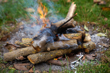 Bonfire, firewood close up. Burning fire from stacked logs