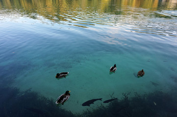 Plitvice Lakes National Park, Jezera, Croatia - 30 September 2019