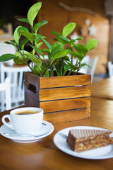 Coffee mug on wooden table, sweet wafer on plate. Close-up.