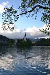 Various beauties of lake Bled