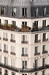 Sunny view of the Paris cityscape with traditional Haussmann architecture 