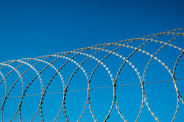 Razor wire fence curving in loops against bright blue sky - obrazy, fototapety, plakaty