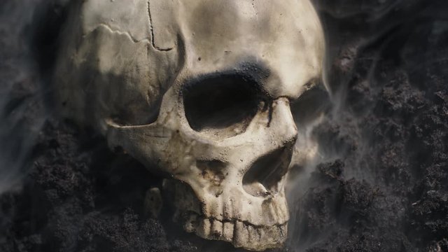 Skull of a dead man in on the ground