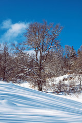 Big Fatra mountains, Slovakia, snowy landscape