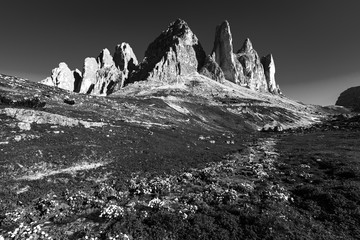 Hiking in Tre Cime. Drei Zinnen, three mountain peaks in dolomites. Highest peak Cima Grande di Lavaredo in summer, Sexten Dolomites Alps in Italy, Trentino Alto Adige