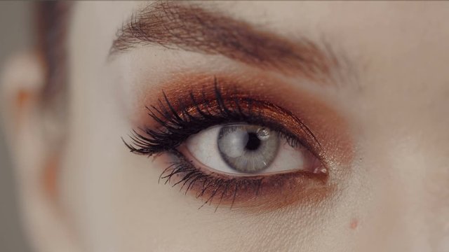 Close up female eye with bright make up. Mascala. Mascara. Open your eyes. Good eyesight. Fashionable girl.