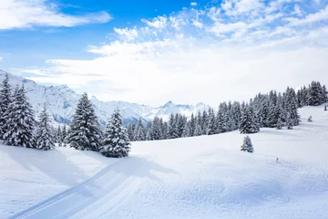 Foto op Aluminium Winterspar en dennenbos bedekt met sneeuw na sterke sneeuwval over de Mont-Blanc-bergketen op de achtergrond op zonnige ijzige dag © Sergey Novikov