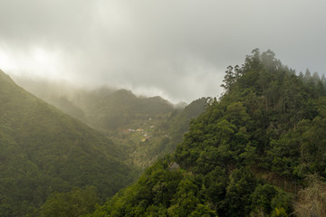 Obraz na płótnie Canvas Madeira Wald 