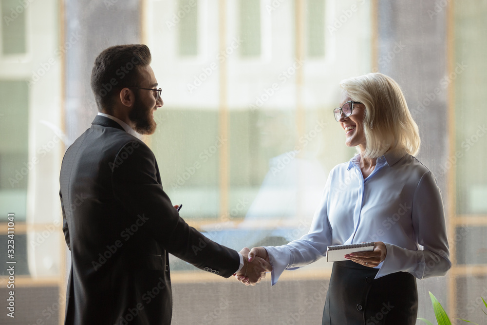 Poster Businesswoman and businessman shaking hands at first meeting indoors