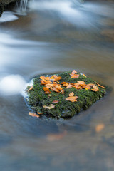 A rock in a stream with leaves and moss upon it surrounded by flowing water