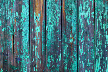 Old worn wooden planks with worn, cracked paint of a turquoise-green color with rust. Beautiful...