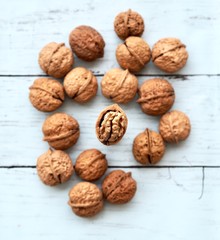 walnuts on white background