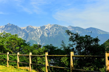 Fototapeta premium Gardasee