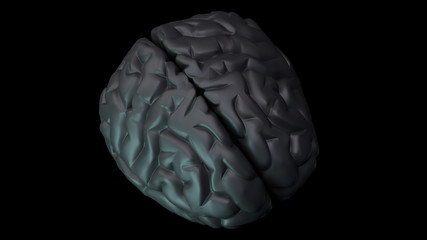 3D Illustration of human brain on clean background
