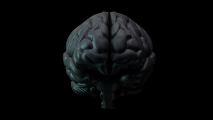 3D Illustration of human brain on clean background