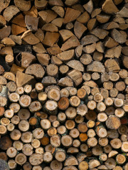 photography with firewood