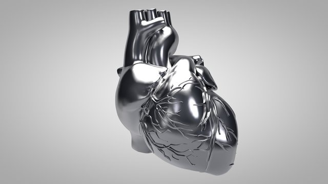 3D illustration of human heart on clean background