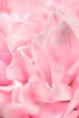 Defocused wallpaper for smartphone. Colorful blurred background with macro flowers.