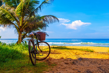 One bicycle is standing on beautiful tropical beach with crystal blue water near palm trees -...