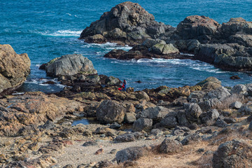 Sanriku Fukkō National Park in winter