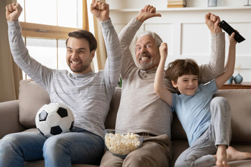 Overjoyed three generations male family celebrating championship win.