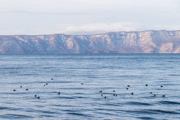 Towada Hachimantai National Park in winter