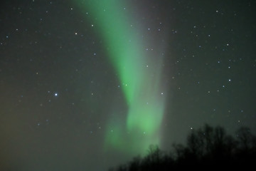 Nordlicht 