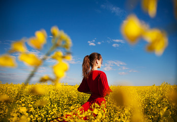 Fototapeta premium girl in a beautiful red dress is standing in a yellow box