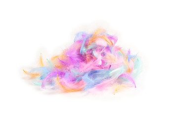 Fototapeta premium Colorful feather background, isolated on white.