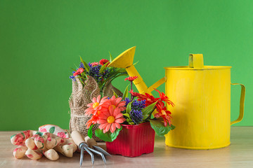 Spring gardening concept. Different flowers in pots, gardening equipment, watering can, gloves on green background. Space for text