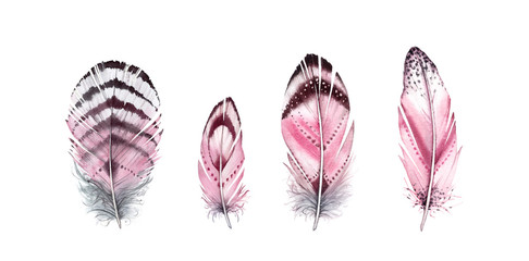 Watercolor feather set. Hand painted four vibrant wings. Boho style illustration isolated on white. Wild bird feathers for wedding invitation, greeting card