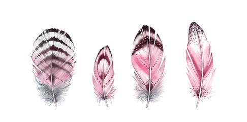 Watercolor feather set. Hand painted four vibrant wings. Boho style illustration isolated on white. Wild bird feathers for wedding invitation, greeting card © Katerina Kolberg