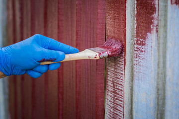 painting the fence in red