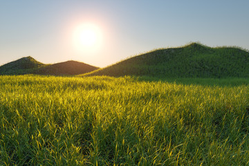 Grass field and mountains with bright background,3d rendering.