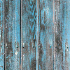 Old blue painted board with natural patterns