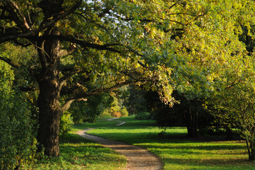 Naklejka premium A path in the park, flooded by the sun