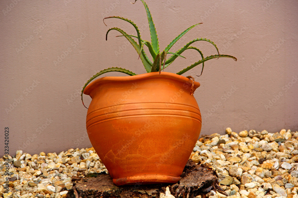 Poster vase in garden