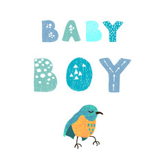 Vector illustration with bird and hand drawn lettering - Baby boy. Colorful typography design in Scandinavian style for postcard, banner, t-shirt print, invitation, greeting card, poster