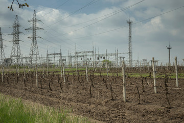 Modern landscape in Moldova.