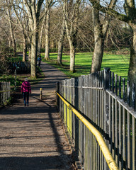 Winter park walk in the sunshine