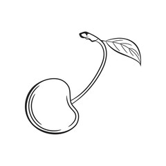 Cherry sketch. Hand drawn fruit illustration. © Belashova