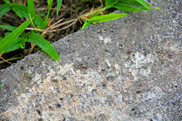 Stone texture